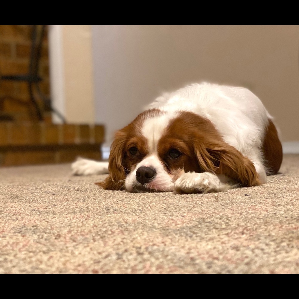 Meet your Posher, Jodi